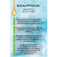 Okaliptüs Uçucu Yağı 20 ML