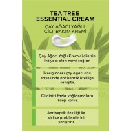 Çay Ağacı Kremi 100 ML