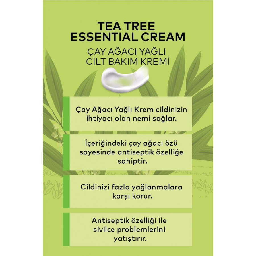 Çay Ağacı Kremi 100 ML